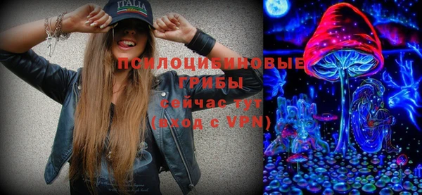 таблы Козловка