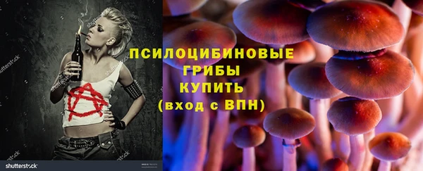 таблы Козловка