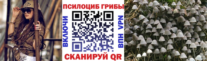 Купить где  Майский  Галлюциногенные грибы MAGIC MUSHROOMS 